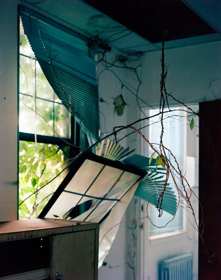 20250823_4X5L_001_Websites